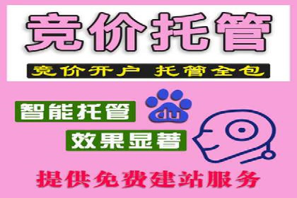 百度广告推广的投放效果评估与优化